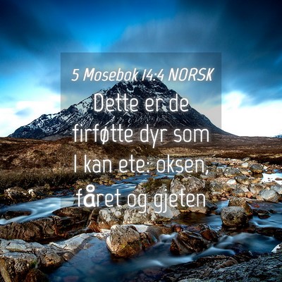 Picture 04 - 5 Mosebok 14:4 NORSK - Dette er de firføtte dyr som I kan ete: oksen, - Bible Verse Picture