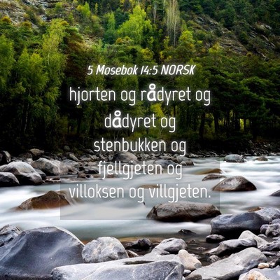 Picture 04 - 5 Mosebok 14:5 NORSK - hjorten og rådyret og dådyret og stenbukken og - Bible Verse Picture