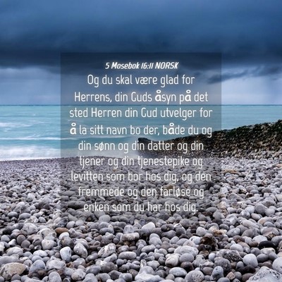 Picture 04 - 5 Mosebok 16:11 NORSK - Og du skal være glad for Herrens, din Guds åsyn - Bible Verse Picture