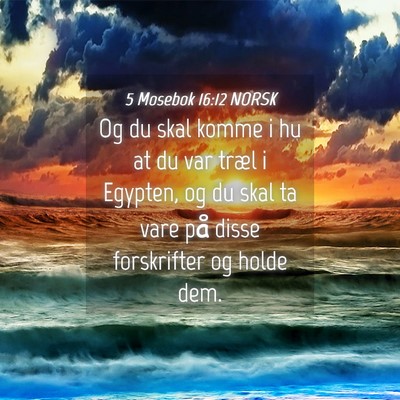 Picture 04 - 5 Mosebok 16:12 NORSK - Og du skal komme i hu at du var træl i Egypten, - Bible Verse Picture