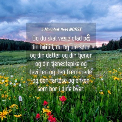 Picture 04 - 5 Mosebok 16:14 NORSK - Og du skal være glad på din høitid, du og din - Bible Verse Picture