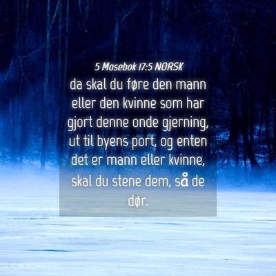 Picture 04 - 5 Mosebok 17:5 NORSK - da skal du føre den mann eller den kvinne som - Bible Verse Picture