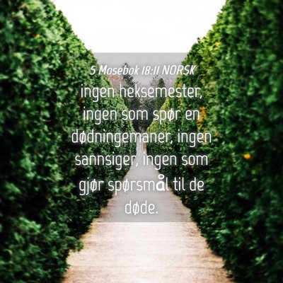 Picture 04 - 5 Mosebok 18:11 NORSK - ingen heksemester, ingen som spør en - Bible Verse Picture