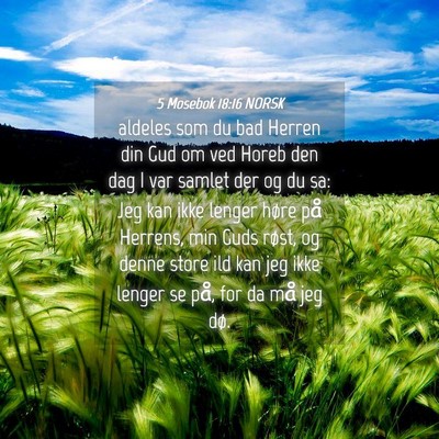 Picture 04 - 5 Mosebok 18:16 NORSK - aldeles som du bad Herren din Gud om ved Horeb - Bible Verse Picture