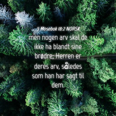 Picture 04 - 5 Mosebok 18:2 NORSK - men nogen arv skal de ikke ha blandt sine - Bible Verse Picture