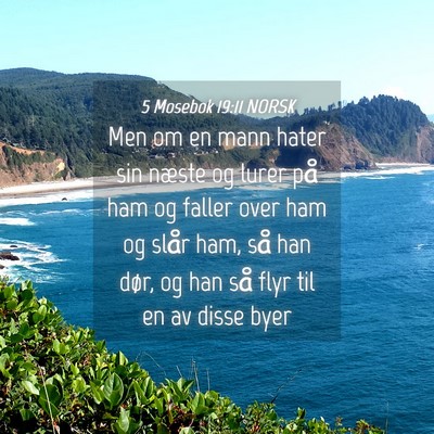 Picture 04 - 5 Mosebok 19:11 NORSK - Men om en mann hater sin næste og lurer på ham - Bible Verse Picture