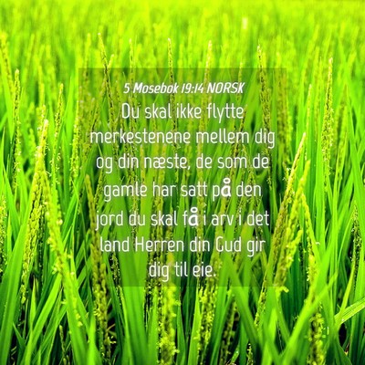 Picture 04 - 5 Mosebok 19:14 NORSK - Du skal ikke flytte merkestenene mellem dig og - Bible Verse Picture
