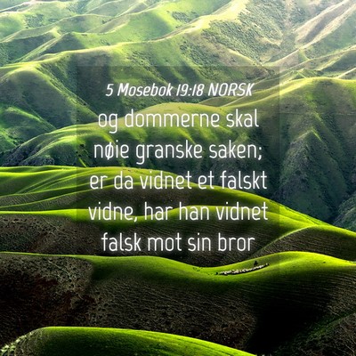Picture 04 - 5 Mosebok 19:18 NORSK - og dommerne skal nøie granske saken; er da - Bible Verse Picture
