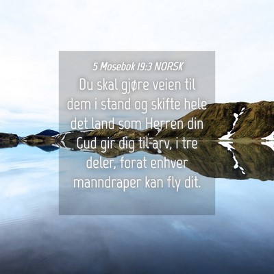 Picture 04 - 5 Mosebok 19:3 NORSK - Du skal gjøre veien til dem i stand og skifte - Bible Verse Picture