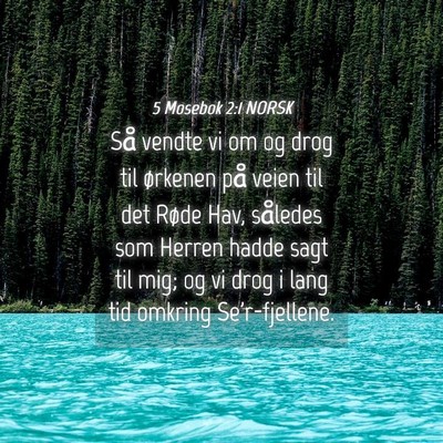 Picture 04 - 5 Mosebok 2:1 NORSK - Så vendte vi om og drog til ørkenen på veien - Bible Verse Picture