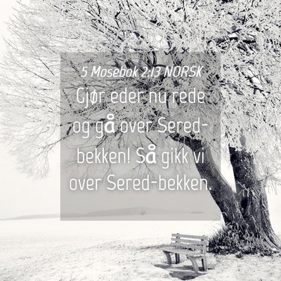 Picture 04 - 5 Mosebok 2:13 NORSK - Gjør eder nu rede og gå over Sered-bekken! Så - Bible Verse Picture