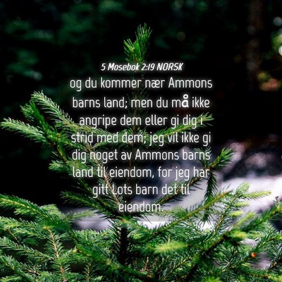 Picture 04 - 5 Mosebok 2:19 NORSK - og du kommer nær Ammons barns land; men du må - Bible Verse Picture