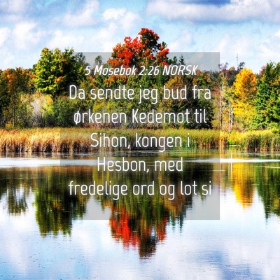 Picture 04 - 5 Mosebok 2:26 NORSK - Da sendte jeg bud fra ørkenen Kedemot til Sihon, - Bible Verse Picture