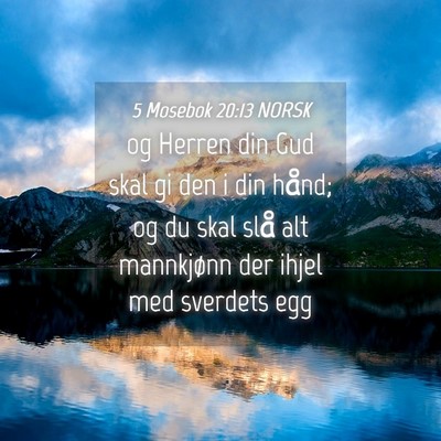 Picture 04 - 5 Mosebok 20:13 NORSK - og Herren din Gud skal gi den i din hånd; og du - Bible Verse Picture