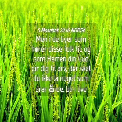 Picture 04 - 5 Mosebok 20:16 NORSK - Men i de byer som hører disse folk til, og som - Bible Verse Picture