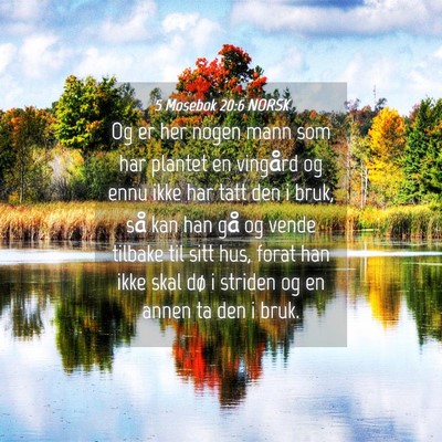 Picture 04 - 5 Mosebok 20:6 NORSK - Og er her nogen mann som har plantet en vingård - Bible Verse Picture