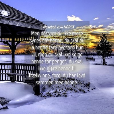 Picture 04 - 5 Mosebok 21:14 NORSK - Men dersom du ikke mere synes om henne, da skal - Bible Verse Picture
