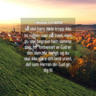 Picture 04 - 5 Mosebok 21:23 NORSK - så skal hans døde kropp ikke bli natten over - Bible Verse Picture