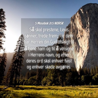 Picture 04 - 5 Mosebok 21:5 NORSK - Så skal prestene, Levis sønner, trede frem; for - Bible Verse Picture