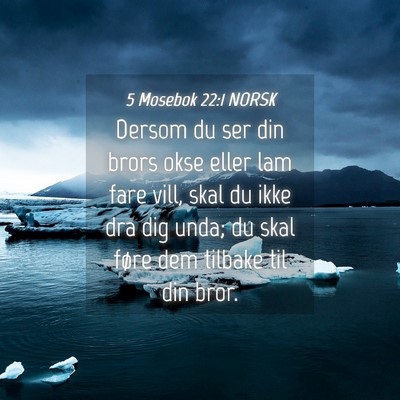 Picture 04 - 5 Mosebok 22:1 NORSK - Dersom du ser din brors okse eller lam fare vill, - Bible Verse Picture