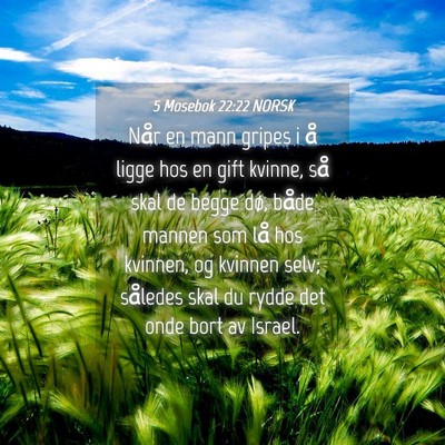 Picture 04 - 5 Mosebok 22:22 NORSK - Når en mann gripes i å ligge hos en gift - Bible Verse Picture