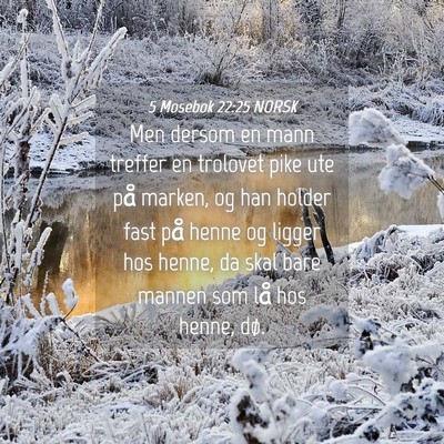 Picture 04 - 5 Mosebok 22:25 NORSK - Men dersom en mann treffer en trolovet pike ute - Bible Verse Picture