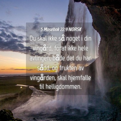 Picture 04 - 5 Mosebok 22:9 NORSK - Du skal ikke så noget i din vingård, forat ikke - Bible Verse Picture