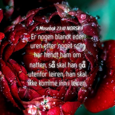 Picture 04 - 5 Mosebok 23:10 NORSK - Er nogen blandt eder uren efter noget som har - Bible Verse Picture