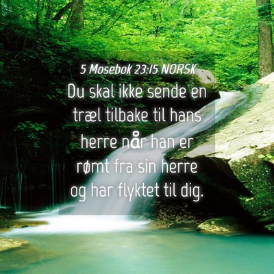 Picture 04 - 5 Mosebok 23:15 NORSK - Du skal ikke sende en træl tilbake til hans - Bible Verse Picture