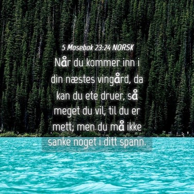 Picture 04 - 5 Mosebok 23:24 NORSK - Når du kommer inn i din næstes vingård, da kan - Bible Verse Picture