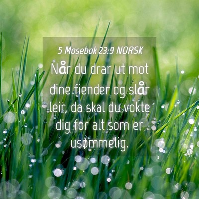 Picture 04 - 5 Mosebok 23:9 NORSK - Når du drar ut mot dine fiender og slår leir, - Bible Verse Picture