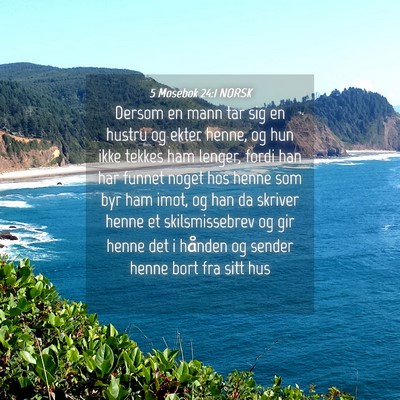 Picture 04 - 5 Mosebok 24:1 NORSK - Dersom en mann tar sig en hustru og ekter henne, - Bible Verse Picture