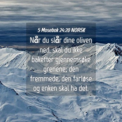 Picture 04 - 5 Mosebok 24:20 NORSK - Når du slår dine oliven ned, skal du ikke - Bible Verse Picture