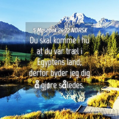 Picture 04 - 5 Mosebok 24:22 NORSK - Du skal komme i hu at du var træl i Egyptens - Bible Verse Picture