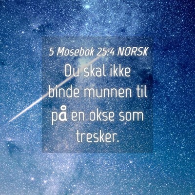 Picture 04 - 5 Mosebok 25:4 NORSK - Du skal ikke binde munnen til på en okse som - Bible Verse Picture