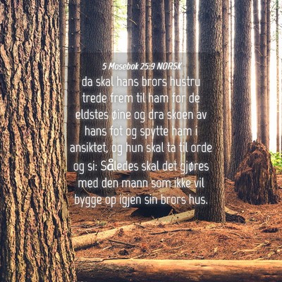 Picture 04 - 5 Mosebok 25:9 NORSK - da skal hans brors hustru trede frem til ham for - Bible Verse Picture