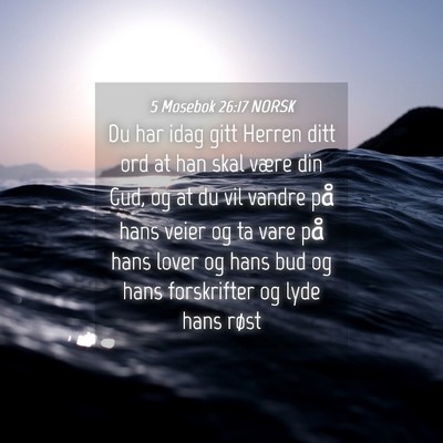 Picture 04 - 5 Mosebok 26:17 NORSK - Du har idag gitt Herren ditt ord at han skal - Bible Verse Picture