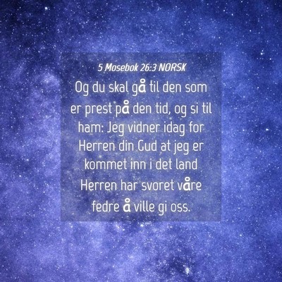 Picture 04 - 5 Mosebok 26:3 NORSK - Og du skal gå til den som er prest på den tid, - Bible Verse Picture