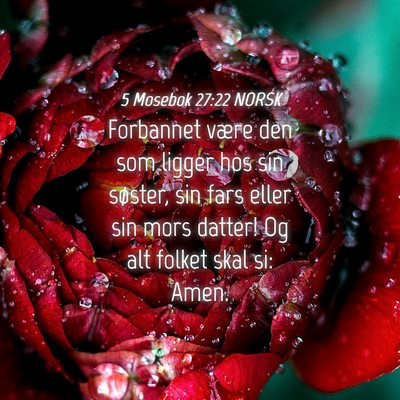 Picture 04 - 5 Mosebok 27:22 NORSK - Forbannet være den som ligger hos sin søster, - Bible Verse Picture