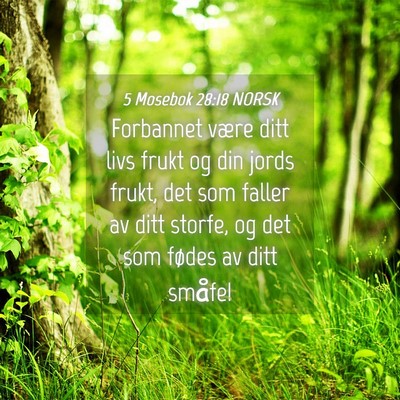 Picture 04 - 5 Mosebok 28:18 NORSK - Forbannet være ditt livs frukt og din jords - Bible Verse Picture