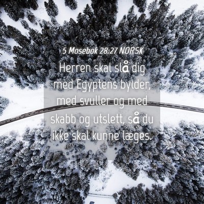Picture 04 - 5 Mosebok 28:27 NORSK - Herren skal slå dig med Egyptens bylder, med - Bible Verse Picture