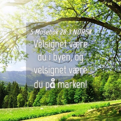 Picture 04 - 5 Mosebok 28:3 NORSK - Velsignet være du i byen, og velsignet være du - Bible Verse Picture