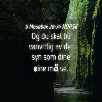 Picture 04 - 5 Mosebok 28:34 NORSK - Og du skal bli vanvittig av det syn som dine - Bible Verse Picture