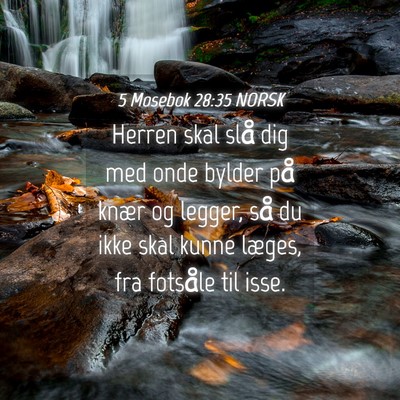 Picture 04 - 5 Mosebok 28:35 NORSK - Herren skal slå dig med onde bylder på knær og - Bible Verse Picture