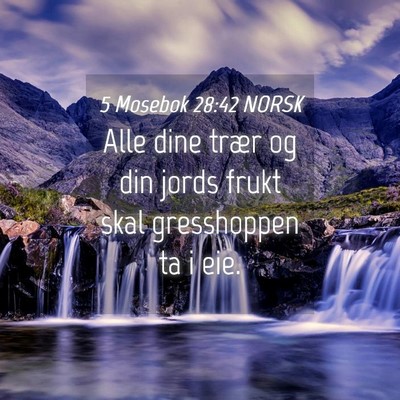Picture 04 - 5 Mosebok 28:42 NORSK - Alle dine trær og din jords frukt skal - Bible Verse Picture