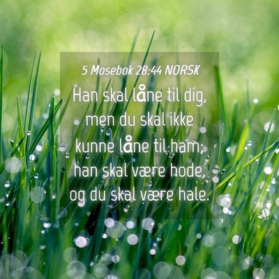 Picture 04 - 5 Mosebok 28:44 NORSK - Han skal låne til dig, men du skal ikke kunne - Bible Verse Picture