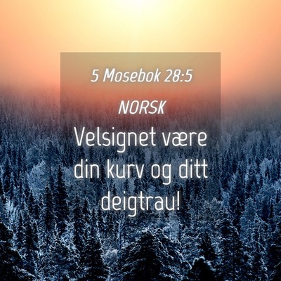 Picture 04 - 5 Mosebok 28:5 NORSK - Velsignet være din kurv og ditt - Bible Verse Picture