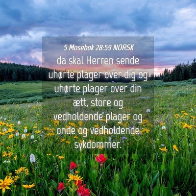 Picture 04 - 5 Mosebok 28:59 NORSK - da skal Herren sende uhørte plager over dig og - Bible Verse Picture