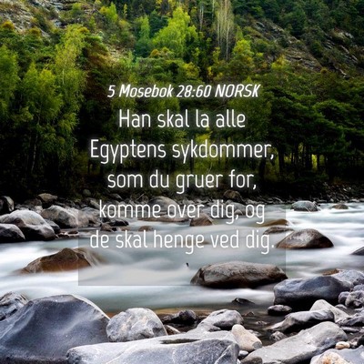 Picture 04 - 5 Mosebok 28:60 NORSK - Han skal la alle Egyptens sykdommer, som du gruer - Bible Verse Picture