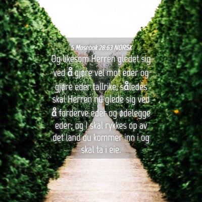 Picture 04 - 5 Mosebok 28:63 NORSK - Og likesom Herren gledet sig ved å gjøre vel - Bible Verse Picture